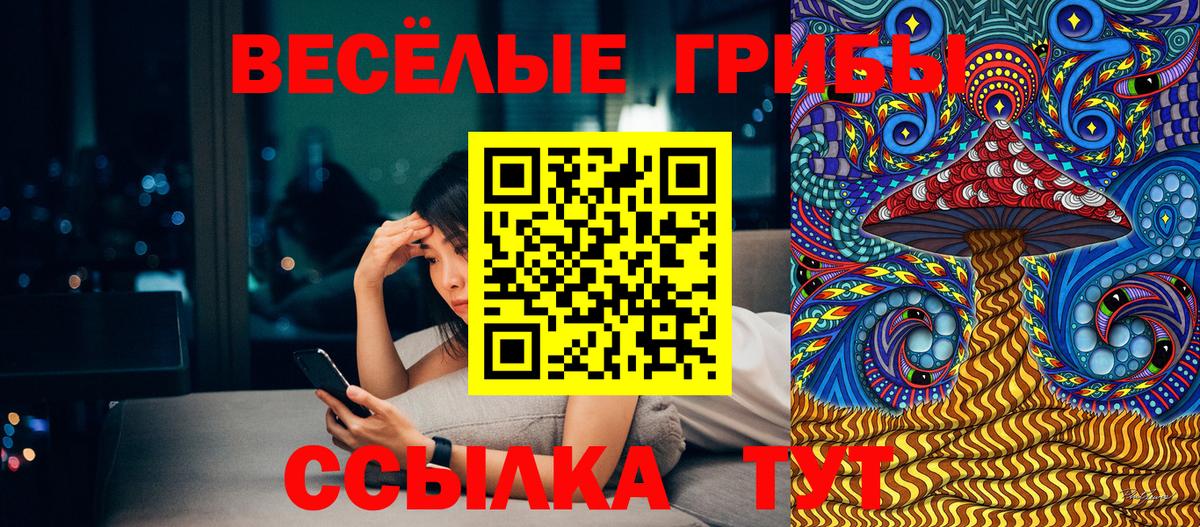 как найти закладки  Псилоцибиновые грибы MAGIC MUSHROOMS  Вход с VPN  Донской 